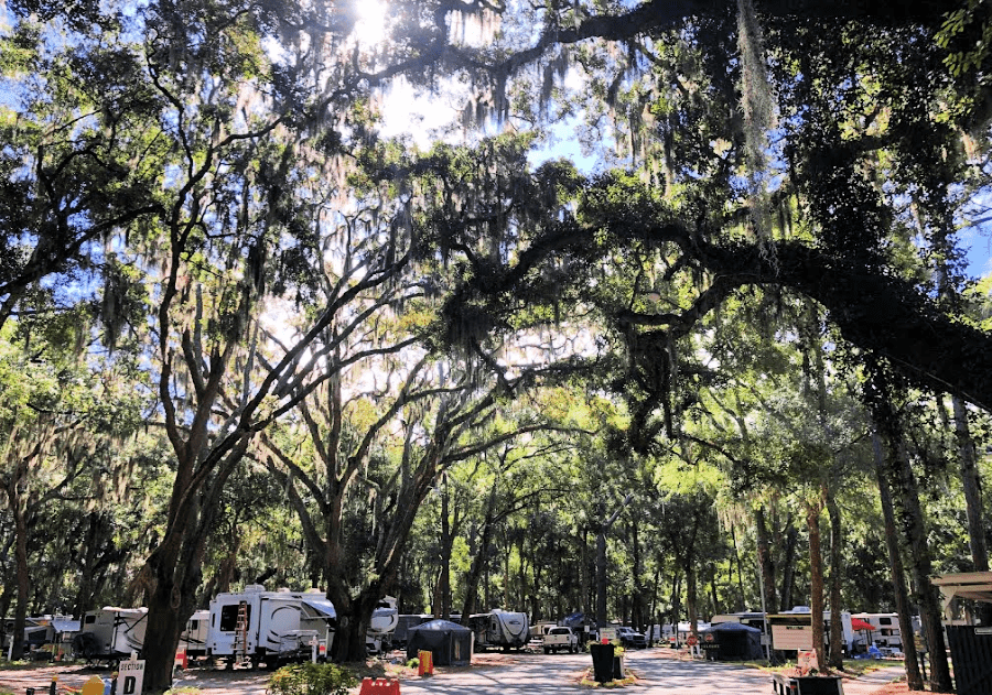 Camping Jekyll Pandemic Coronavirus
