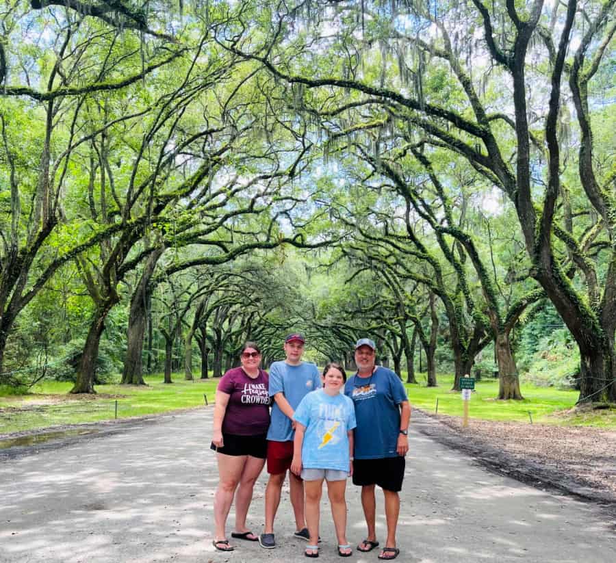 Entrance Road Wormsloe Georgia State Historical Site